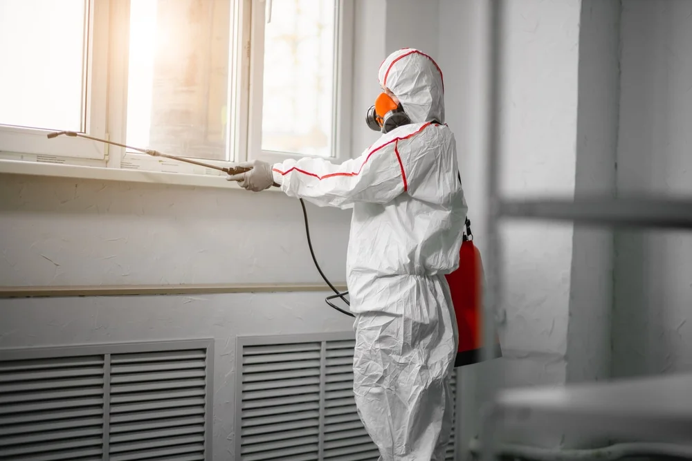Professional mold remediation services in Enon, OH